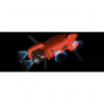 Квадрокоптер Autel Evo II Pro 6K RTK pic 6